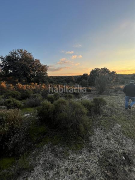 Foto cec58e4f-6599-4975-a886-dd6ac816fe6c. Casale in los arrinques in Brunete