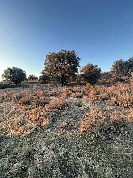 Foto e05e32ef-0dea-4259-97d9-4df0a781e1a7. Casale in los arrinques in Brunete