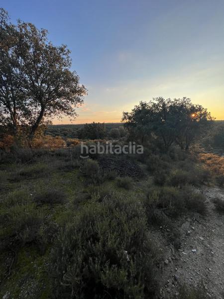Foto ea3427c0-1b05-467f-a52c-aa922a61cc4a. Casale in los arrinques in Brunete