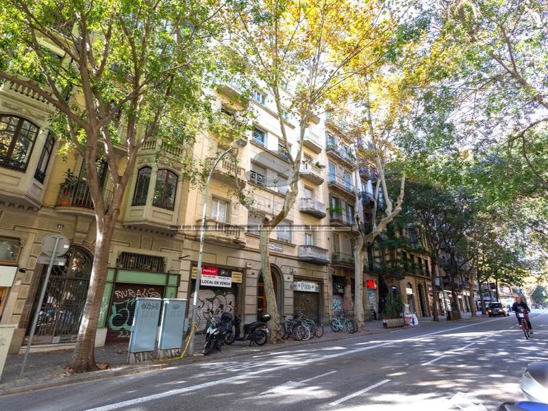 Foto 07a77dd4-c095-4d20-b944-1a3c3a1e61b0. Alquiler apartamento en calle muntaner 61 apartamento 1 habitación alquiler en Barcelona