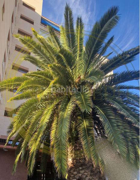 Foto ae201208-53e9-4b9e-b560-d5d4f08762b4. Appartamento con piscina in Sur - PAU 4 Móstoles