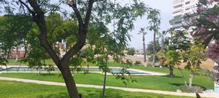 Pis a Playa Poniente. Benidormpiso