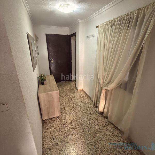 Foto a9ab0334-1119-4b38-8511-694bfb616276. Pis a Centro Urbano Benidorm