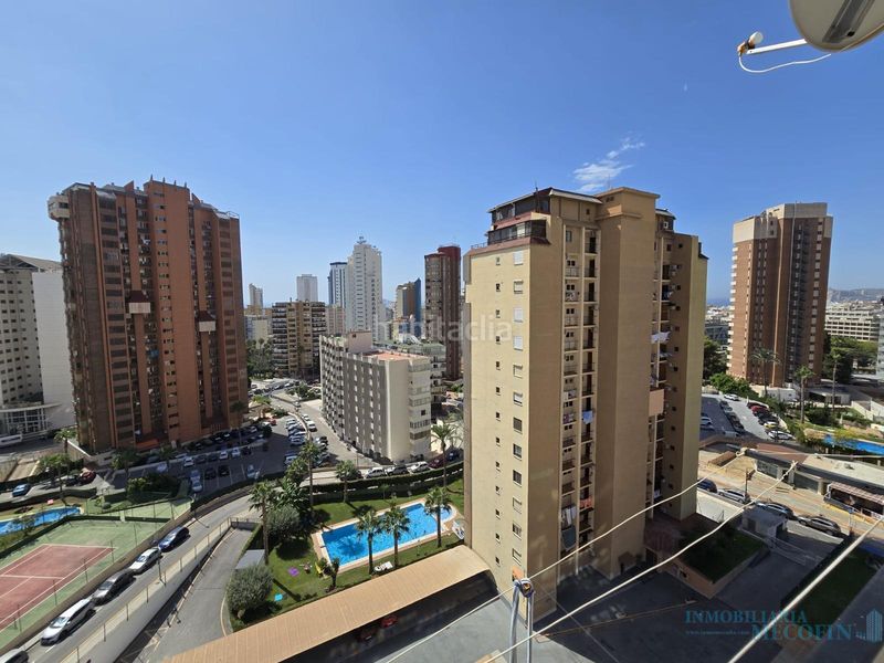 Foto b48d239a-546b-48e0-8147-7fe0b351e854. Pis amb piscina a Juzgados - Plaza de Toros Benidorm