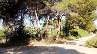 Terreny residencial a Riba - roja de Túria. 2 pai venta en riba roja de túria el clot de navarrete