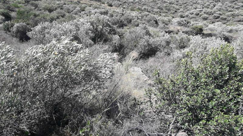 Foto 29508ab4-85a2-4fff-bb39-b1880a8f755d. Terreny residencial a Cadaqués