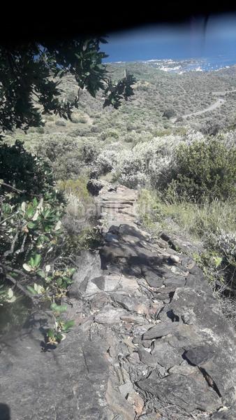 Foto 5735c307-dcb3-4a4e-8b56-bb15d9503c37. Terreny residencial a Cadaqués