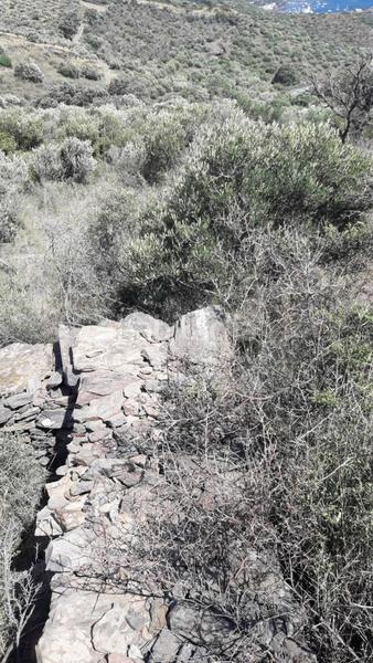 Foto 96b9f708-adf3-4abf-8b2c-df6b3fd2f5d0. Terreny residencial a Cadaqués