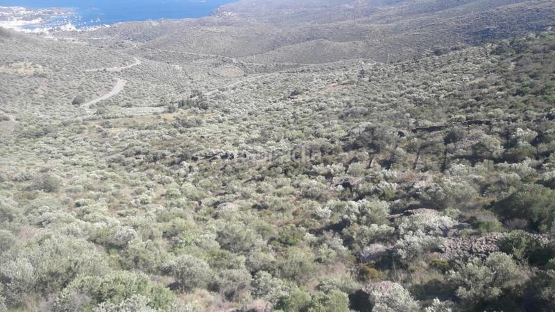 Foto a9af914f-e24c-4005-be33-ae08ae3cf1e1. Terreny residencial a Cadaqués