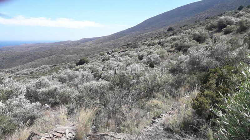 Foto c8cb0a87-30fd-47ce-aef1-4eb8b50ecb39. Terreny residencial a Cadaqués