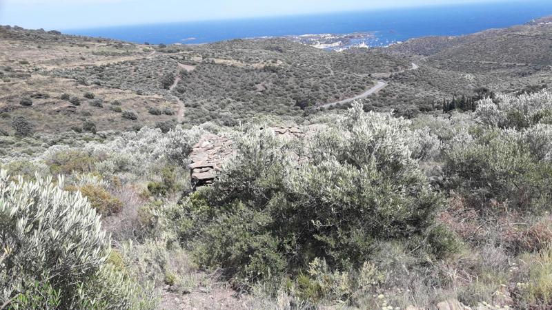 Foto d0a9a6e2-b528-4eae-83db-0a33bbb3b4b2. Terreny residencial a Cadaqués