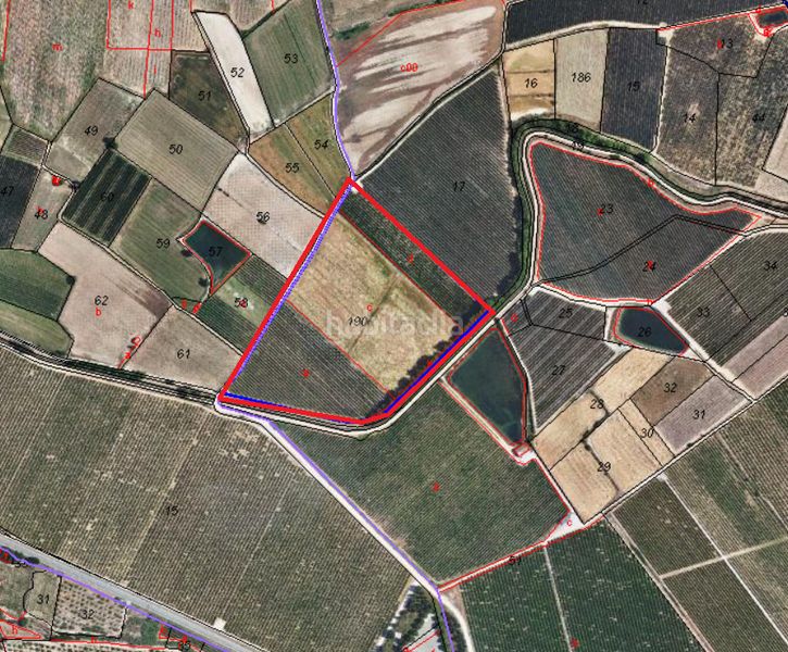 Foto 63a8b299-47e2-4740-885c-1b49fc36f945. Terreny residencial a Torregrossa