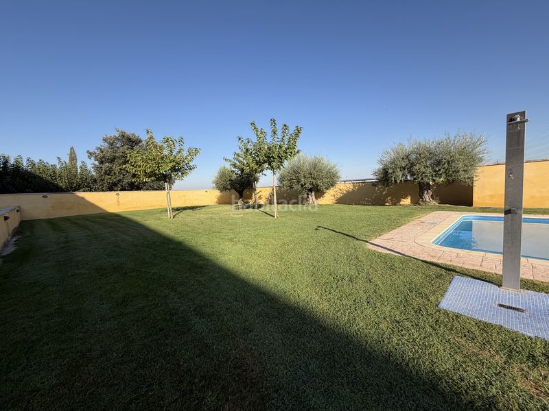 Foto cff2f55c-5079-4c1b-93d8-61738d06d109. Pis amb calefacció aparcament piscina a Anglesola