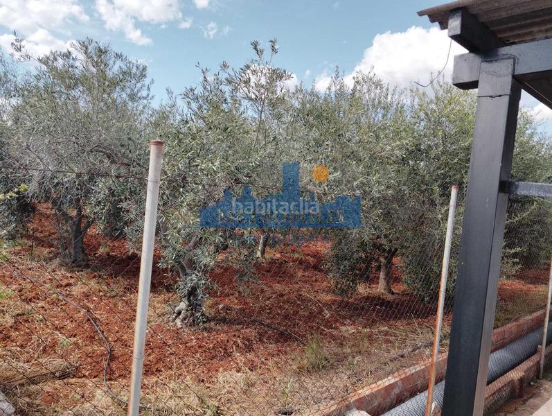 Foto bdb60384-27b1-405f-9321-f0b34e2f62ee. Casa amb aparcament a Madrigal Villarreal / Vila - real