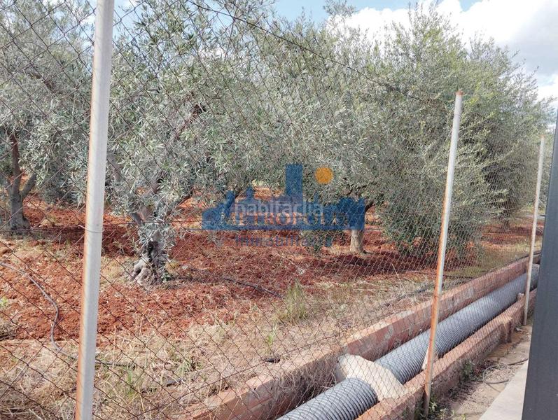 Foto e6213ba5-2966-45c8-8205-ea0ebeee5ad0. Casa amb aparcament a Madrigal Villarreal / Vila - real