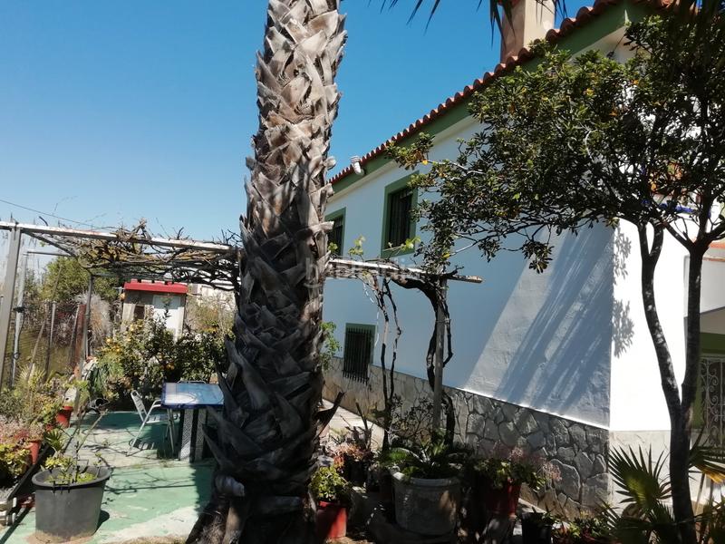 Foto 0ef1282b-598e-4665-b342-eaa105afef0d. Chalet luminosa casa en el brosquil en El Marenyet Cullera