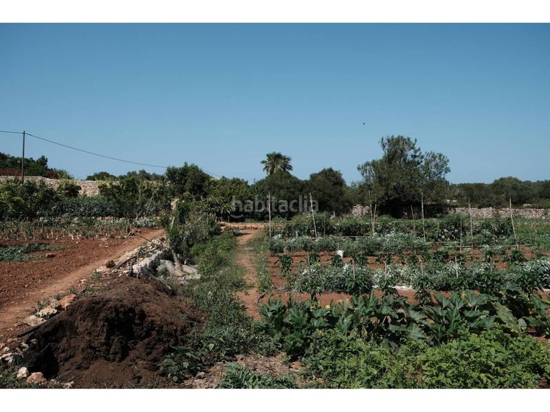 Foto 5a6732eb-ebdf-4b8e-a0d3-7cb01c6e98f6. Masia amb piscina a Cala Blanca Ciutadella de Menorca