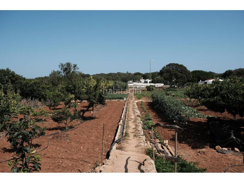 Foto bd50aa7c-3c30-4436-882c-4785846ff3a9. Masia amb piscina a Cala Blanca Ciutadella de Menorca