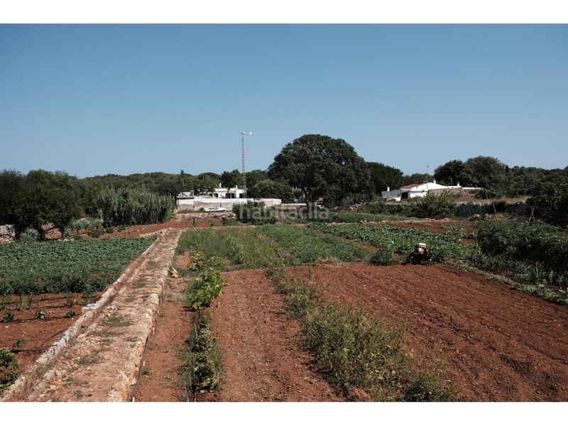 Foto bf4ff672-5fe2-4f6c-b625-a09030ab173a. Masia amb piscina a Cala Blanca Ciutadella de Menorca
