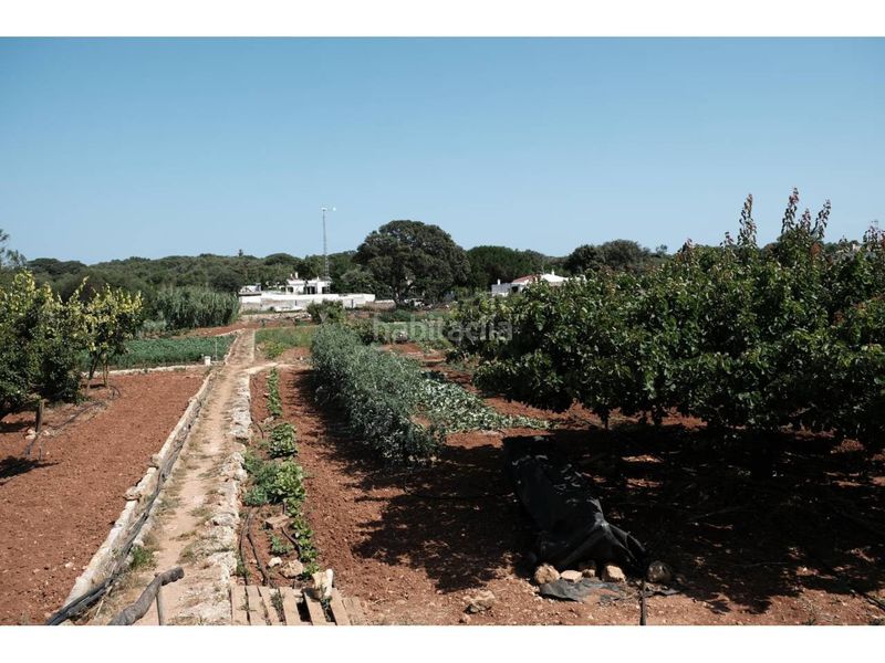 Foto d669888a-8dc0-4280-9dbe-a703198267c7. Masia amb piscina a Cala Blanca Ciutadella de Menorca