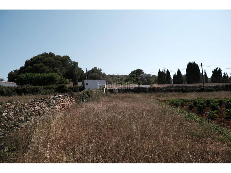 Foto d7a8d389-b2ea-4ea7-aca7-bf2dc78d2e07. Masia amb piscina a Cala Blanca Ciutadella de Menorca