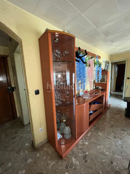 Foto 3cfb3307-2d37-4704-8536-be755e866548. Àtic a Ciutat Cooperativa-Molí Nou Sant Boi de Llobregat