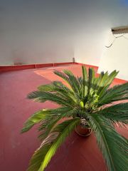 Piso en Sagnier-Plaça de Catalunya. Piso reformado con terraza compartida solo 2 vecinos