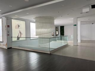 Business premise in CASP