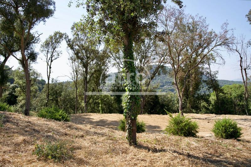 Foto 7e3e6402-85cb-4871-842c-55f881516839. Masía finca rústica un lugar con alma y potencial ilimitado. en Vilassar de Dalt