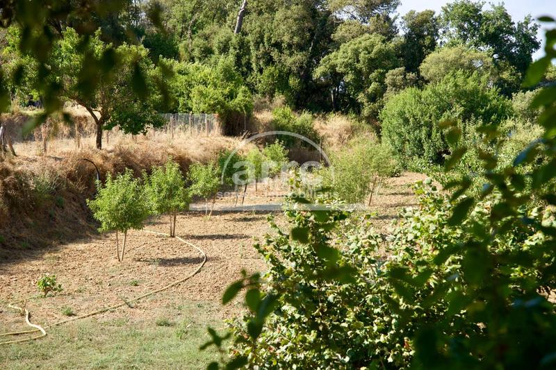 Foto df468fff-0c48-4ab1-85a9-c6ab77ee4ac0. Masía finca rústica un lugar con alma y potencial ilimitado. en Vilassar de Dalt