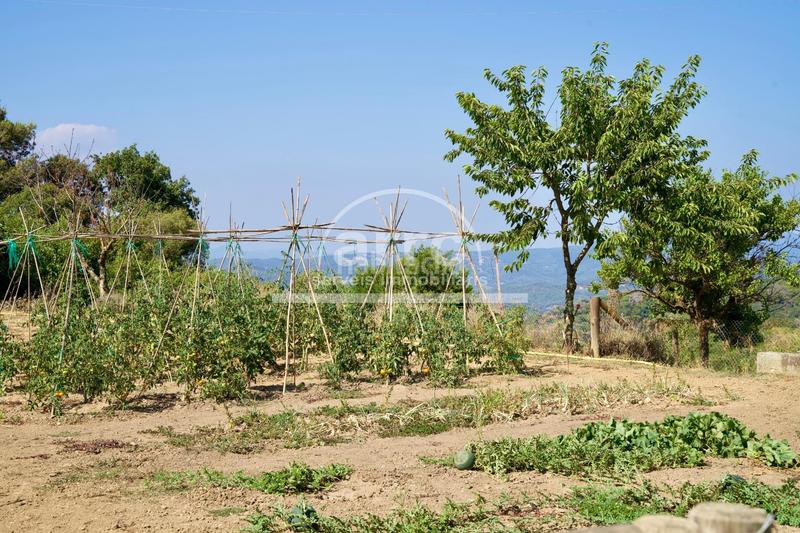 Foto eddfb0c4-000e-4421-9514-80a05c7e49b3. Masía finca rústica un lugar con alma y potencial ilimitado. en Vilassar de Dalt