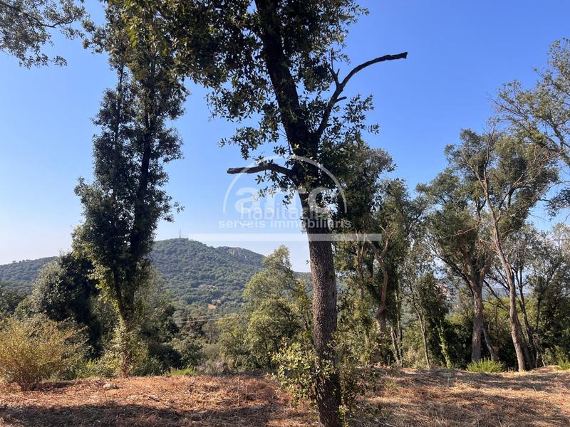 Foto f0d89222-3745-4de0-a957-71f17800b986. Masía finca rústica un lugar con alma y potencial ilimitado. en Vilassar de Dalt