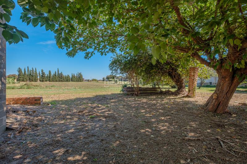 Foto 2eb74cbe-96e8-40ee-b474-b5217181fea7. Terreno residenziale in carrer major 8 in Jafre