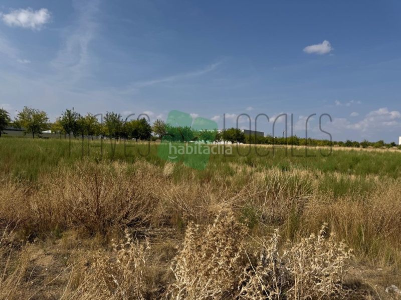 Foto eee6a1cc-48a7-41aa-ba21-d3f2bc4e8716. Affitto area edificabile industriale in señorío de Illescas Illescas