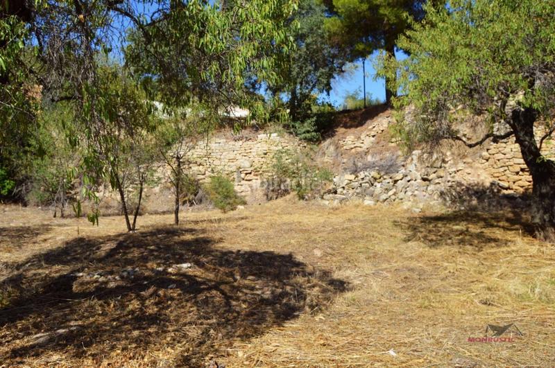 Foto 1cd82073-44fd-4f9f-ab1e-f2be52896f2c. Terreny residencial a Vallbona de les Monges