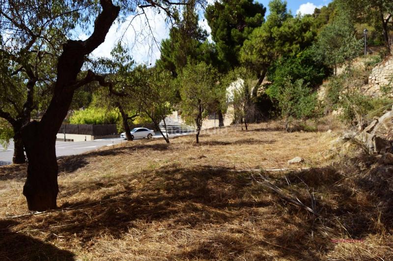 Foto f56f8a4a-4e5f-4868-bb58-175d712d0ba2. Terreny residencial a Vallbona de les Monges