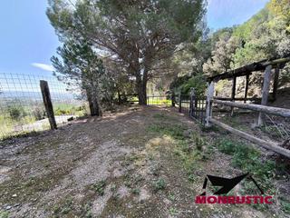 Rural plot in Selva del Camp (La). Finca rustica en venta a 5 minutos del pueblo de la selva del ca