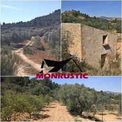 Finca rústica a Riba-roja d´Ebre. Finca rustica de  22.203 m2 con 21.472 de olivos de regadio y co