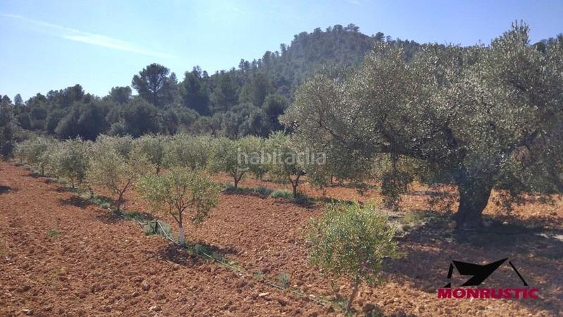 Foto 035071fb-6262-4582-8fee-d78cce014e56. Finca rústica a Riba-roja d´Ebre