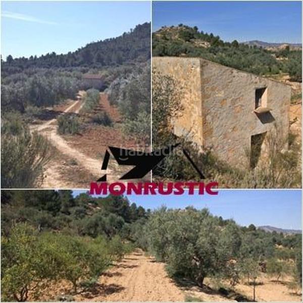 Foto 1482c4f8-1688-4893-8ab5-54b65c28743b. Finca rústica a Riba-roja d´Ebre