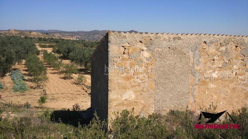 Foto 5ef3f53b-f536-41e4-ba53-e10a576c310c. Finca rústica a Riba-roja d´Ebre