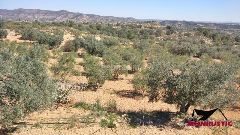 Foto 60810143-d9c3-4e05-94af-f8701589828d. Finca rústica a Riba-roja d´Ebre