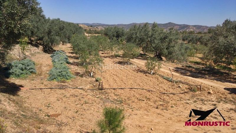 Foto 649da69f-6789-4a26-b7a6-6af19e401b44. Finca rústica a Riba-roja d´Ebre