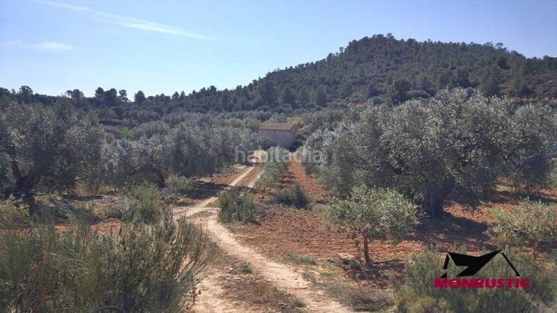 Foto 6534c6cf-ddcd-4eed-bc10-78d26c0b6796. Finca rústica a Riba-roja d´Ebre