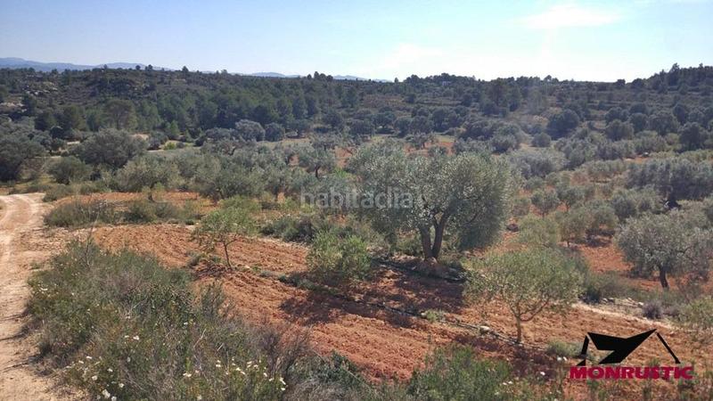 Foto 6dd673b1-7b66-4915-9d85-e45a82b2f60f. Finca rústica a Riba-roja d´Ebre