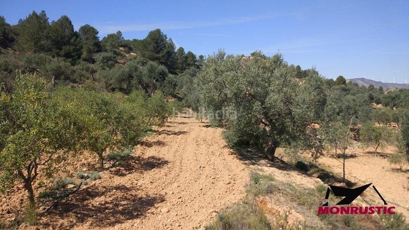 Foto 8b41c8b7-05eb-4331-ac3d-8b083829db04. Finca rústica a Riba-roja d´Ebre