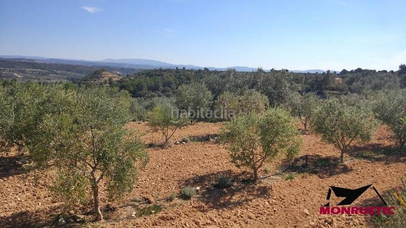 Foto 903945e3-deec-4b35-9e29-af95cfff6a83. Finca rústica a Riba-roja d´Ebre