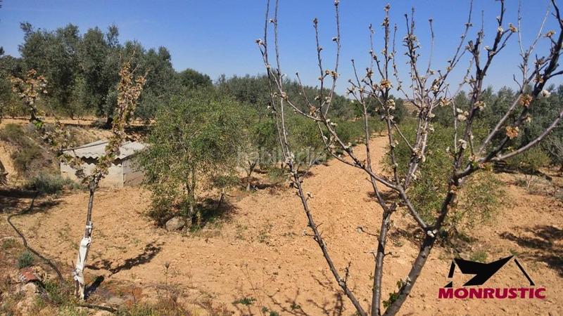 Foto 971f5653-333b-46da-ad78-581a4c5a934d. Finca rústica a Riba-roja d´Ebre