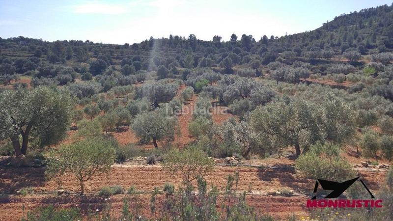 Foto a79822d3-ea91-496f-a4e0-7b76c53542a8. Finca rústica a Riba-roja d´Ebre