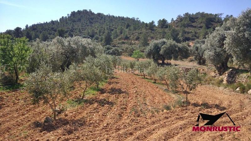 Foto bb82a9e0-54c4-4af4-aef8-bb8714c58889. Finca rústica a Riba-roja d´Ebre